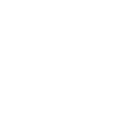 Logo VETinLANGON